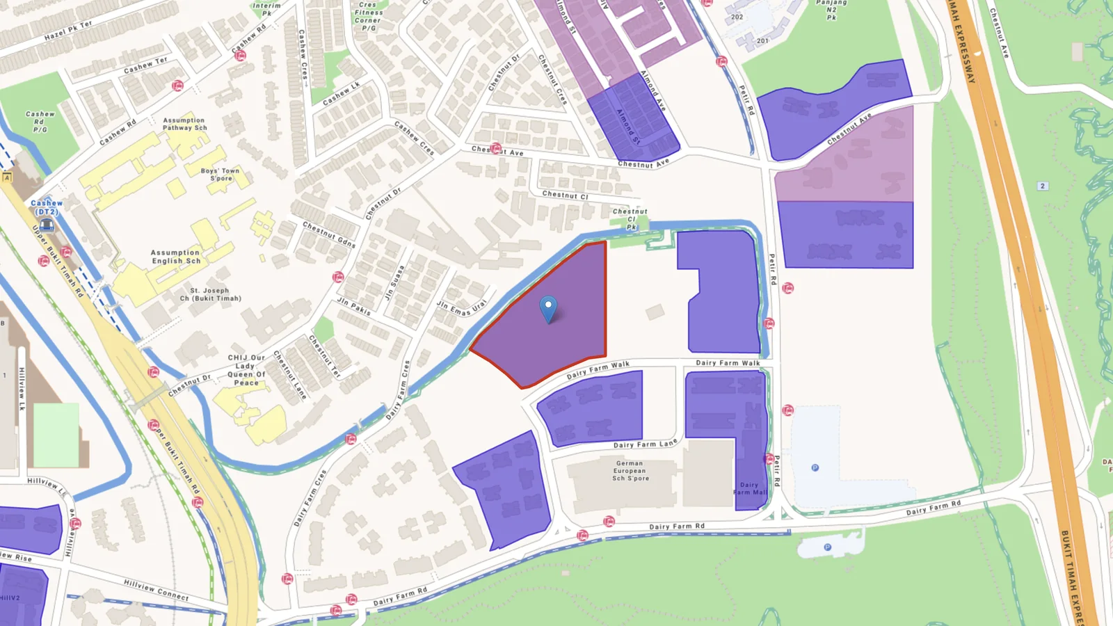 The Dairy Farm Walk land sale site, outlined in red beside the Bukit Timah Expressway