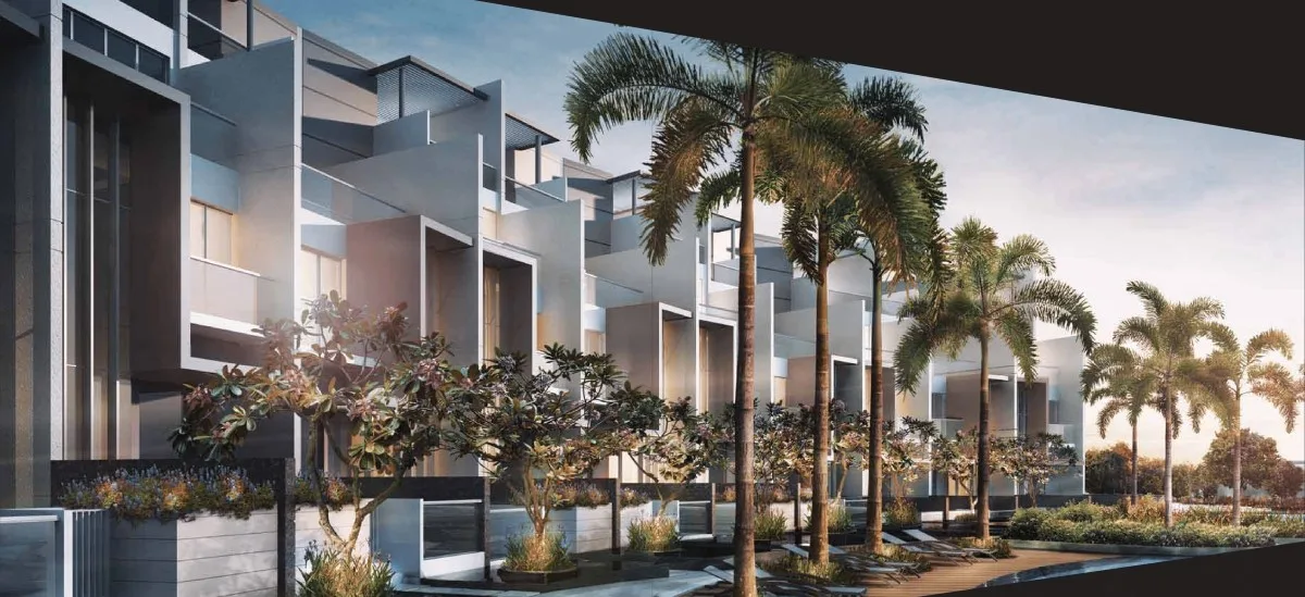 Skies Miltonia — artist's impression